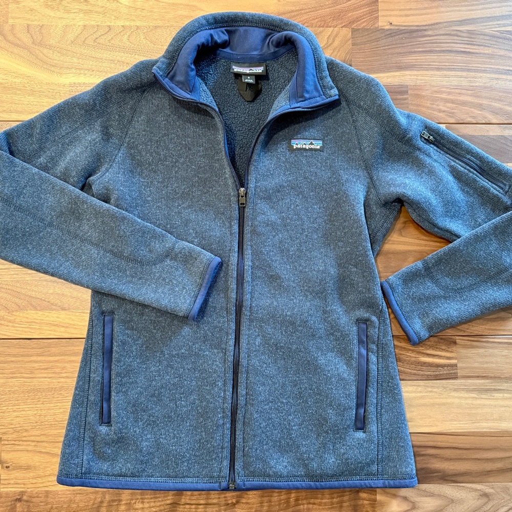 Patagonia Blue-Gray Polar Tech Jacket